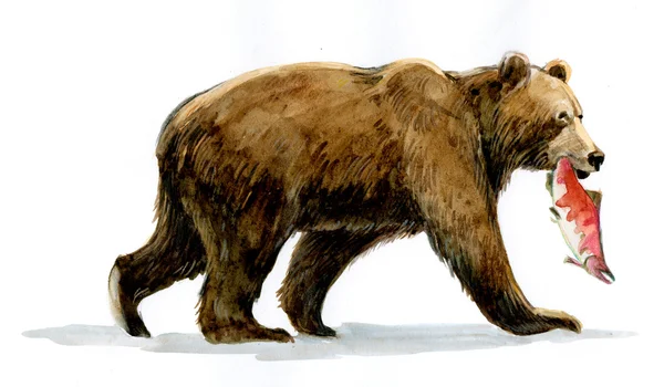 Grizzly oso marrón con pescado —  Fotos de Stock