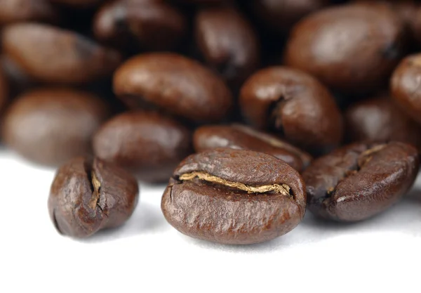 Fond de grains de café — Photo
