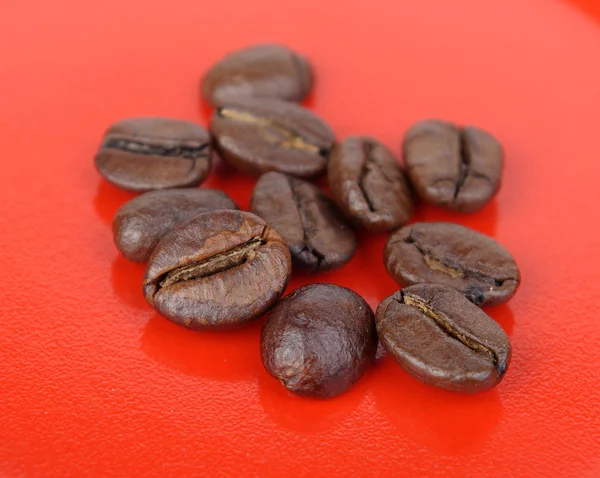 Kávé bab, piros háttér — Stock Fotó
