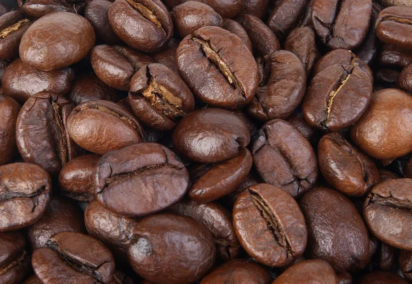 Grãos de café fechar — Fotografia de Stock