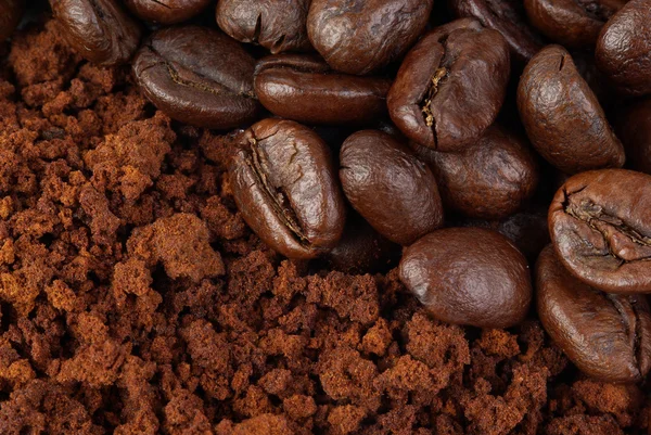 Grano de café y molido — Foto de Stock