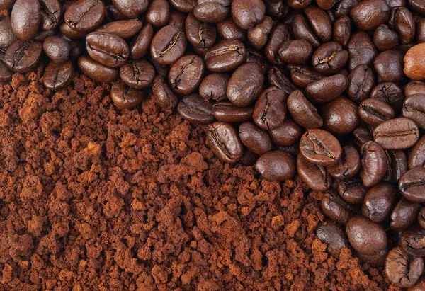 Grain de café et moulu — Photo