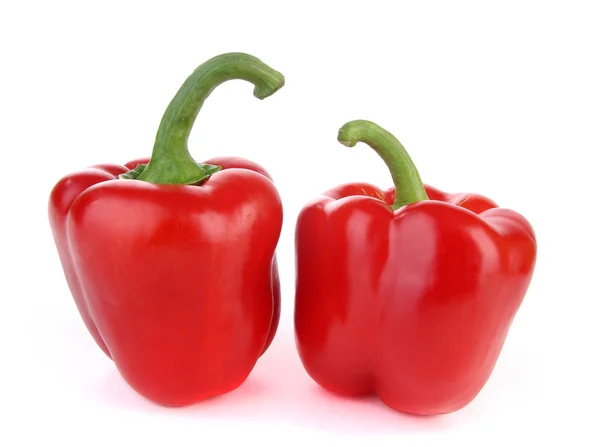 Δύο πιπεριές — Φωτογραφία Αρχείου