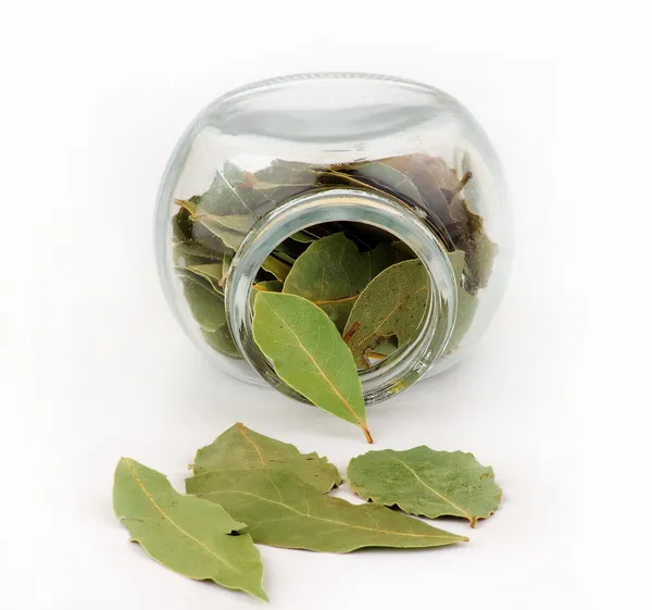 Bay leaf and glass — Stock Photo, Image
