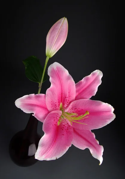 灰色の背景との花瓶とピンクのユリ — ストック写真