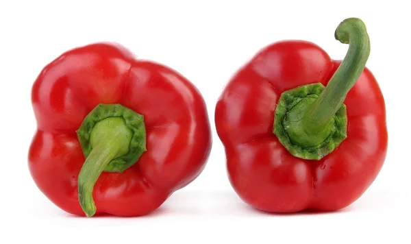Δύο κόκκινες πιπεριές - επάνω και κάτω — Φωτογραφία Αρχείου