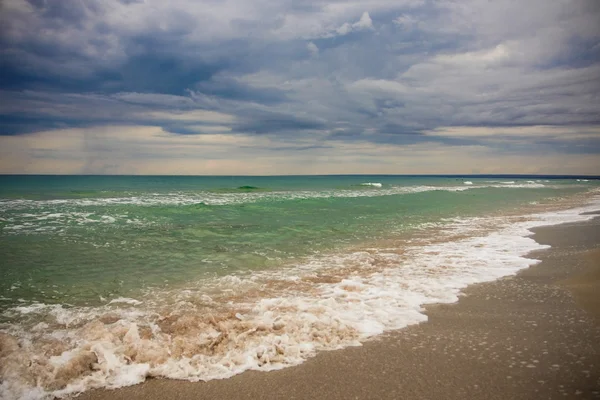 Stock image Beautiful seashore