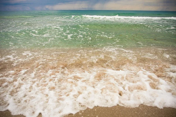 Stock image Beautiful seashore