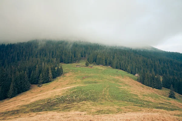 stock image Mountain landscape