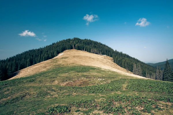 Green hill with blue sky — Stock Photo, Image