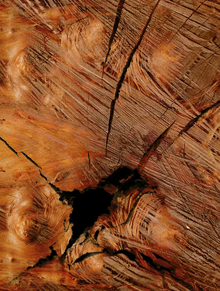 Fundos de madeira — Fotografia de Stock