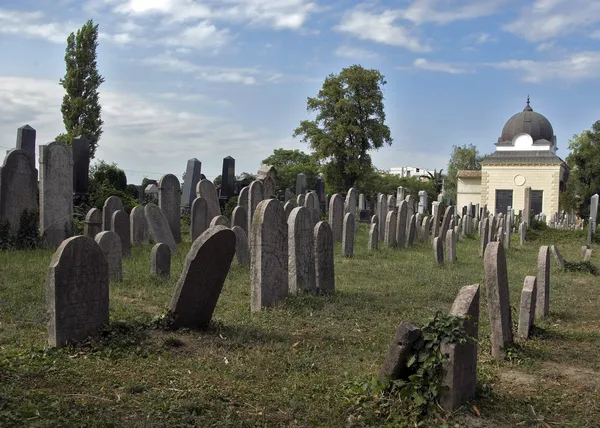 Еврейское кладбище Лицензионные Стоковые Фото