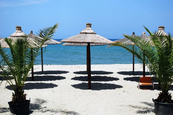 Playa con palmeras y sombrilla —  Fotos de Stock