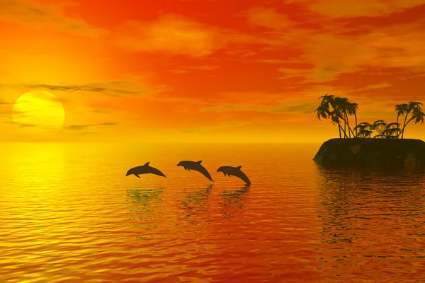 Dolfijnen silhouet — Stockfoto