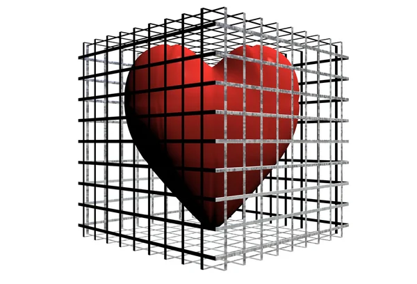 Hjärtat i bur — Stockfoto