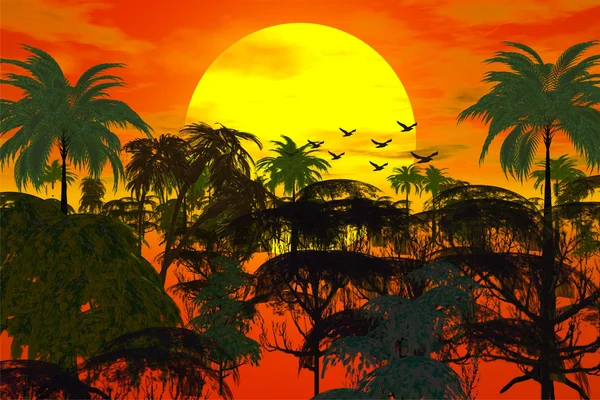 Zonsondergang over jungle — Stockfoto