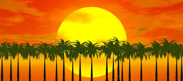 Gün batımı ile palmiye ağacının arkasında — Stok fotoğraf
