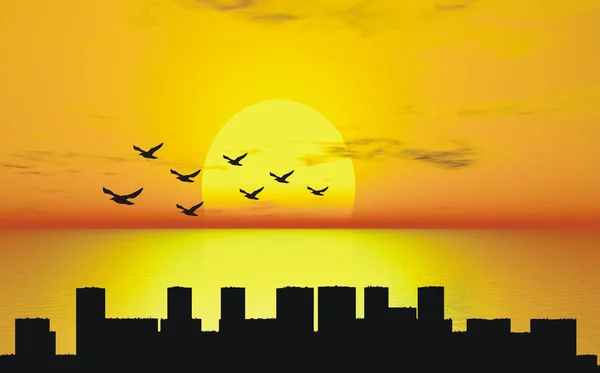 Ηλιοβασίλεμα με πουλί και πόλη σιλουέτα — Φωτογραφία Αρχείου