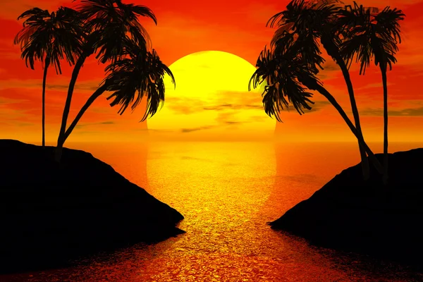 Sunset with palms tree — Stock Photo, Image