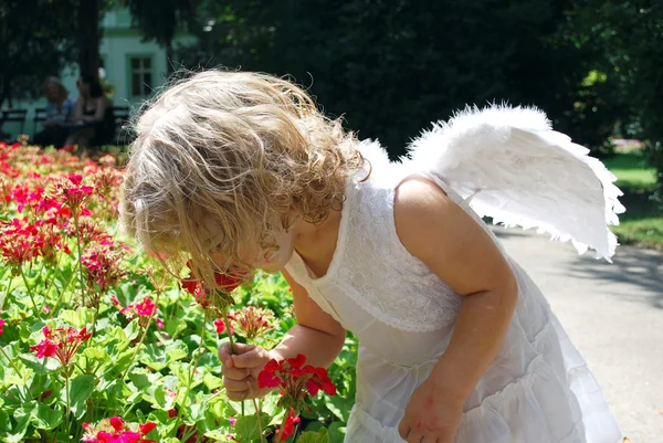 Anioł i kwiat — Zdjęcie stockowe