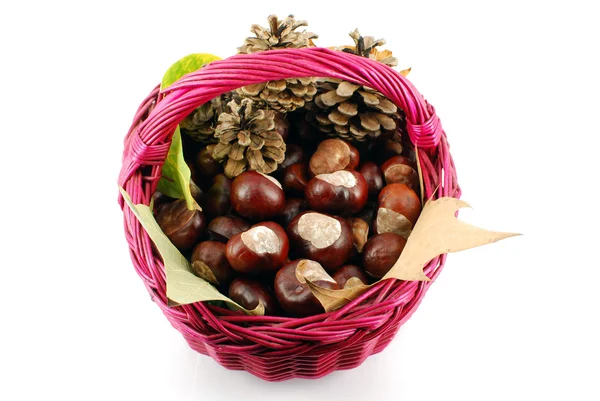 Basket with chestnut — Stock Photo, Image
