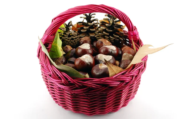 Basket with chestnut — Stock Photo, Image