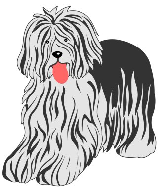 Bobtail dog clipart