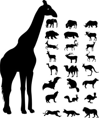 Wild animals icons and silhouette clipart