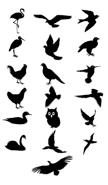 Silhouette d'oiseau — Image vectorielle