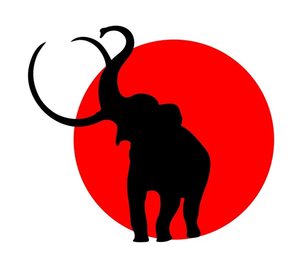 Elephant — Stock Vector