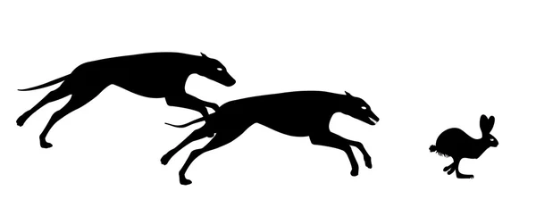 Greyhound hunting hare — Stock Vector