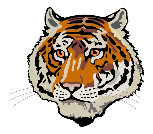 Tigre Testa — Vettoriale Stock