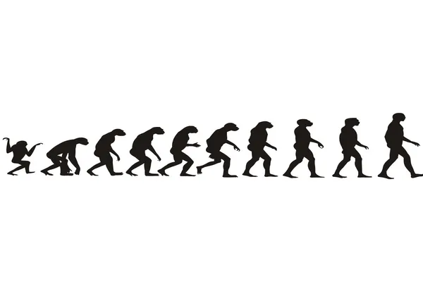 İnsan evrimi — Stok Vektör