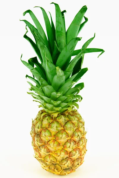 stock image Pineapple