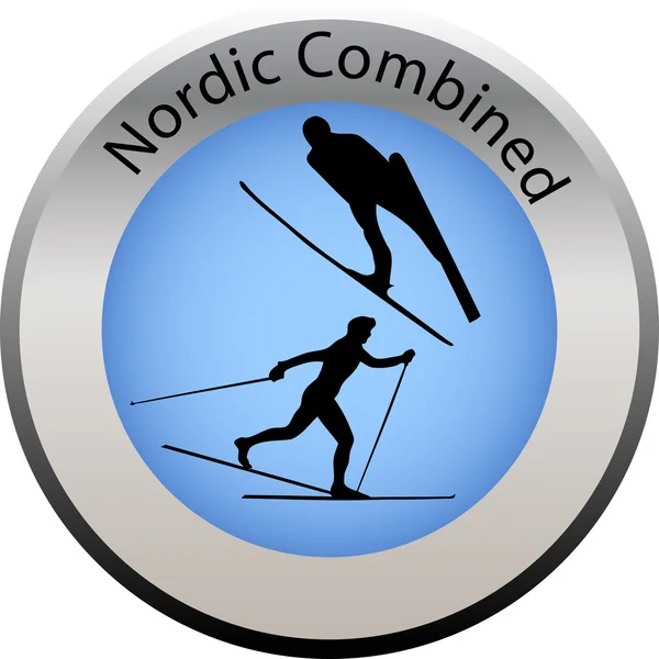 Bouton de jeu d'hiver nordique combiné — Image vectorielle