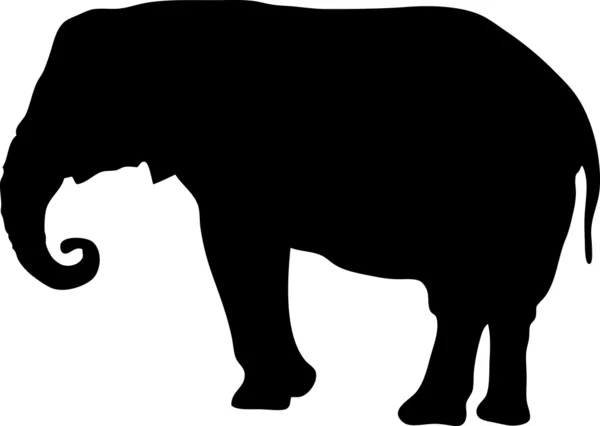 Μαύρη σιλουέτα ενός ελέφαντα — Διανυσματικό Αρχείο