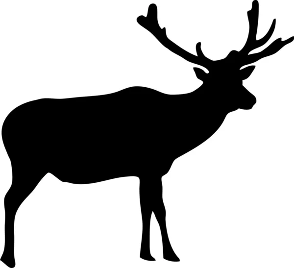 Illustratie van een hert — Stockvector