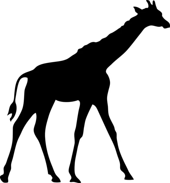 Silhouette girafe noire — Image vectorielle
