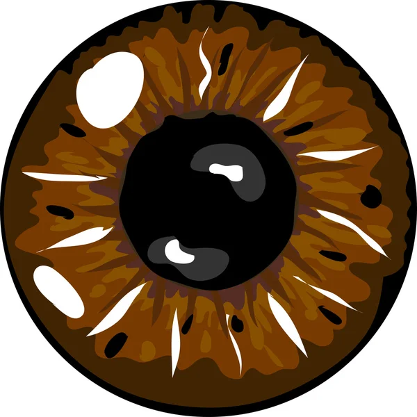 Abbildung einer braunen Pupille — Stockfoto