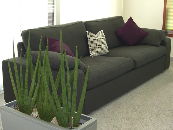 Modern living room - lounge — Stock Photo, Image