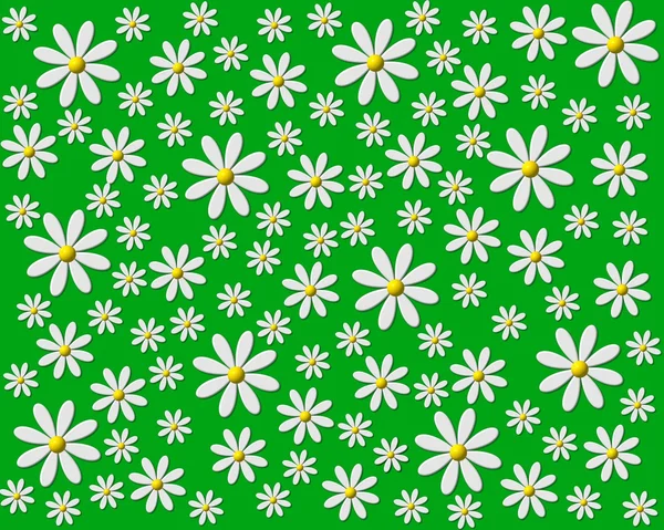 Blume Hintergrund grün weiß — Stockfoto