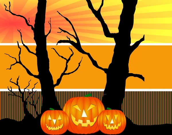 Halloween pompoenen achtergrond — Stockfoto