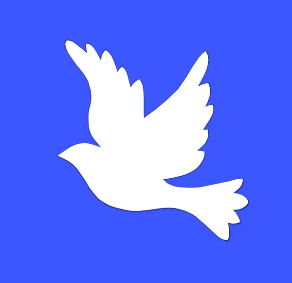 Dove background — Stock Photo, Image