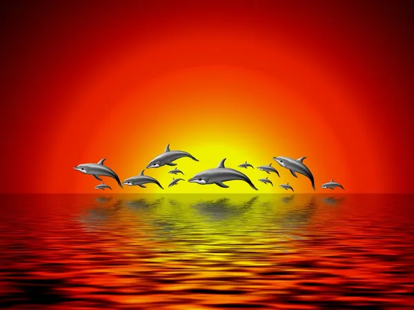 Dolphins in sunset — Stock Photo, Image