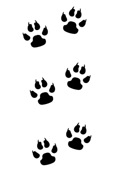 Impronte animali isolate — Foto Stock