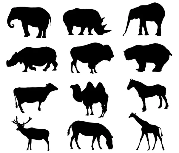 Wilde dieren silhouetten — Stockfoto