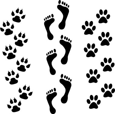 Footprints clipart