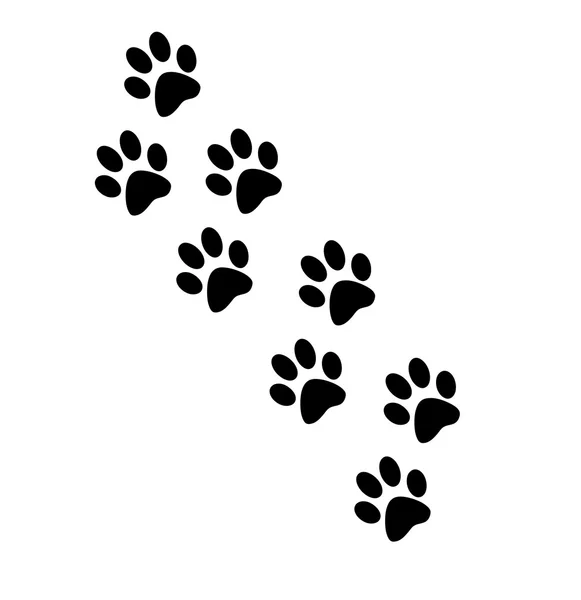 Huella perro vector: Más de 51,725 vectores de stock y arte vectorial con  licencia libres de regalías