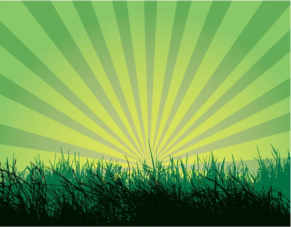 Bonita ilustración hierba — Vector de stock