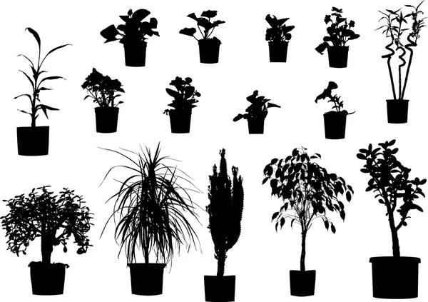 Növények — Stock Vector